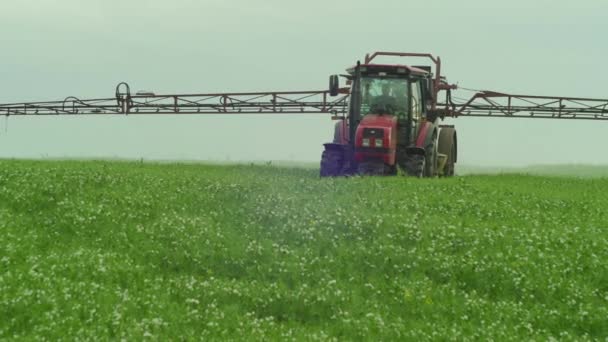 Bevattning Med Traktor Foderärtsfält — Stockvideo