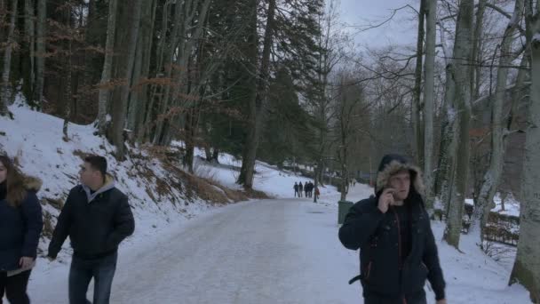 Menschen Die Einer Gasse Gehen — Stockvideo