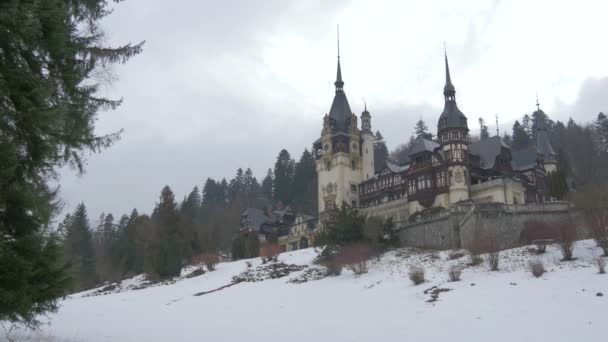 Castelo Peles Dia Inverno — Vídeo de Stock