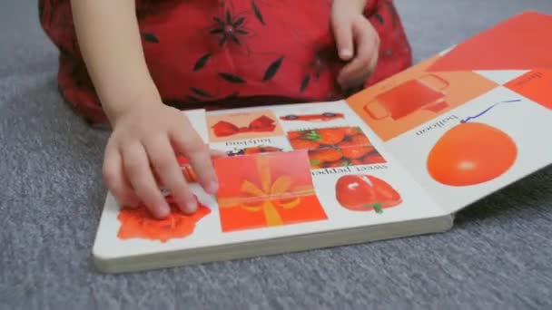 Menina Lendo Livro Perto — Vídeo de Stock