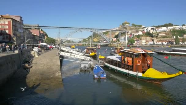 Barcos Anclados Cerca Del Puente Dom Luis — Vídeo de stock