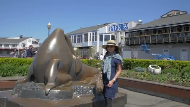 Foto Maken Bij Een Zeehonden Sculptuur — Stockvideo