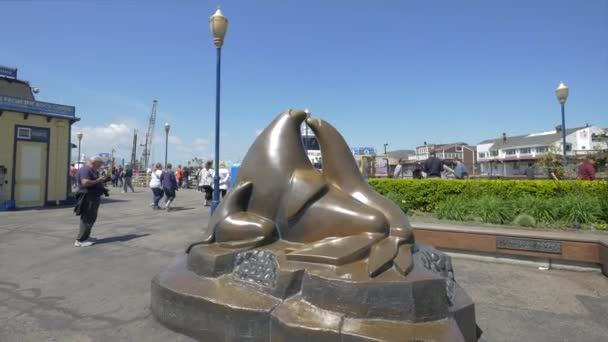 39号码头的海豹雕塑 — 图库视频影像