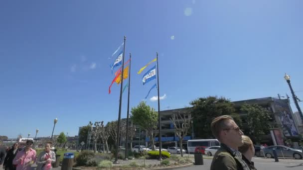 Banderas Del Muelle Ondeando — Vídeos de Stock