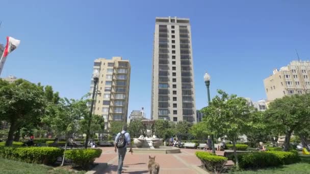 Fontana Delle Tartarughe Huntington Park — Video Stock