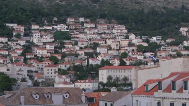 Edificios Árboles Ciudad — Vídeos de Stock