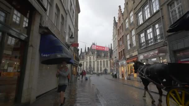 Horse Carriage Bus Bruges — Stock Video