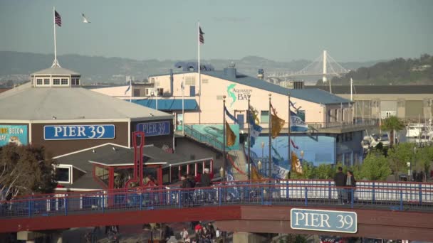 Ángulo Alto Del Muelle San Francisco — Vídeos de Stock