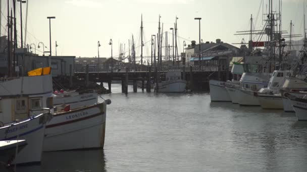 Barcos Anclados Puerto — Vídeos de Stock