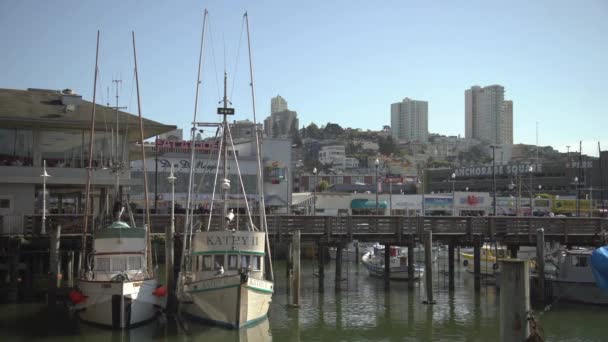 Navios Ancorados Num Porto — Vídeo de Stock