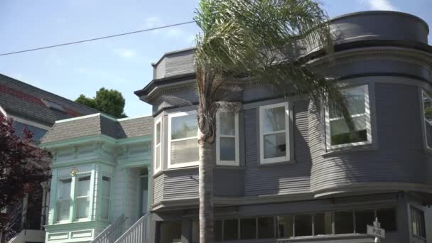 Bir Evin Önündeki Palmiye Ağacı — Stok video