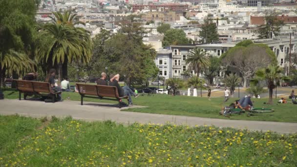 Ludzie Siedzący Ławkach Parku — Wideo stockowe
