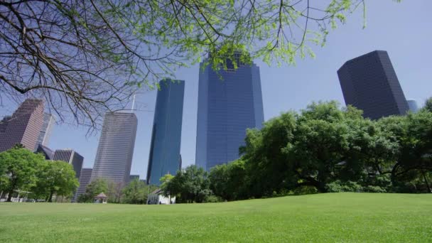 Skyscrapers Vanaf Een Park Verenigde Staten Van Amerika — Stockvideo