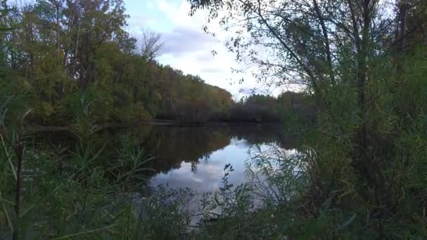 Lago Del Bosque Por Noche — Vídeos de Stock