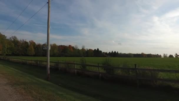 绿地和秋天的树木 — 图库视频影像