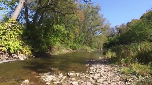 Man Fishing River — Stock Video