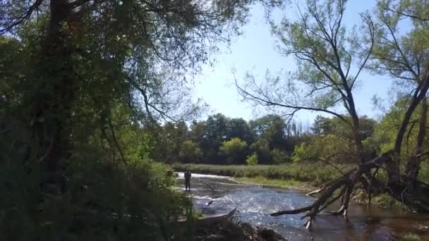 Nehir Kenarında Balık Tutmak — Stok video
