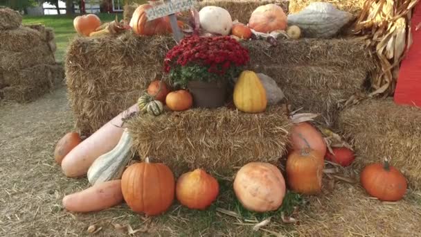 Jesienny Układ Happy Harvest Sign — Wideo stockowe