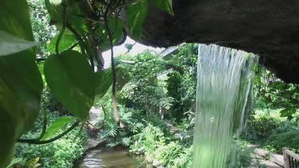 Водопад Ботаническом Саду — стоковое видео