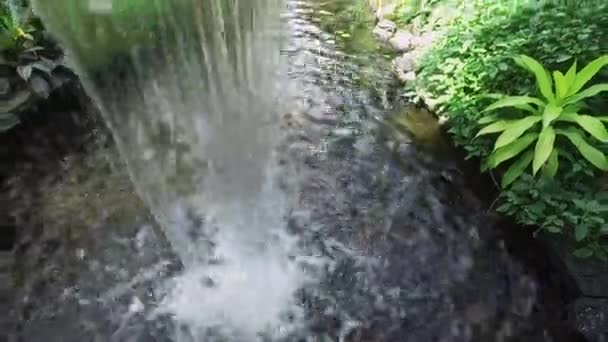 庭園の景色の滝 — ストック動画