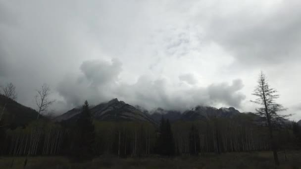 Foresta Montagne Una Giornata Nuvolosa — Video Stock