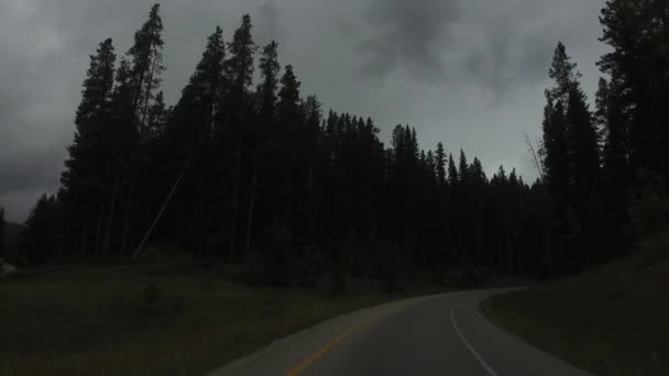 多云天气下的森林和道路 — 图库视频影像