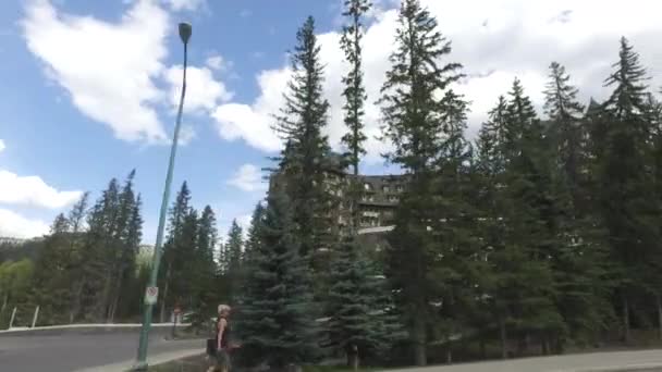 Banff Springs Hotel Bakom Barrträd — Stockvideo