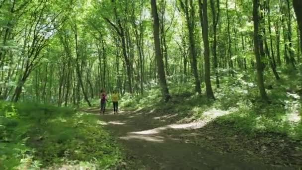 Girls Jogging Forest — Αρχείο Βίντεο