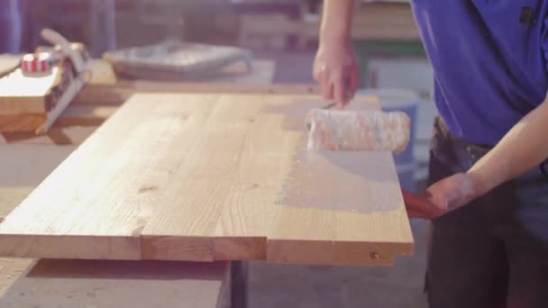 Malowanie Drewna Wałkiem — Wideo stockowe