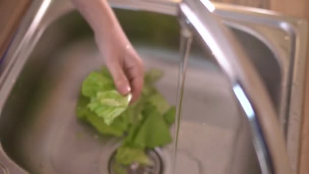 Washing Lettuce Leaves Sink — Stock Video