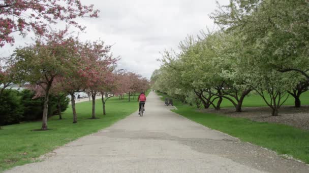 Homem Andando Bicicleta Parque — Vídeo de Stock