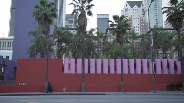 Pared Roja Palmeras Parque — Vídeo de stock