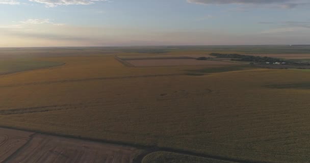 Tiro Aéreo Tierras Agrícolas — Vídeos de Stock