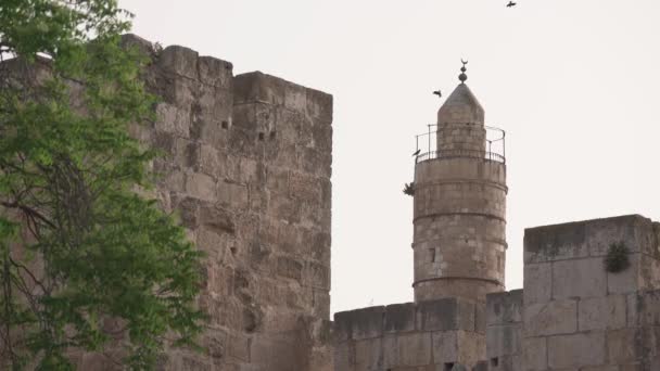 Der Runde Turm Von König David — Stockvideo