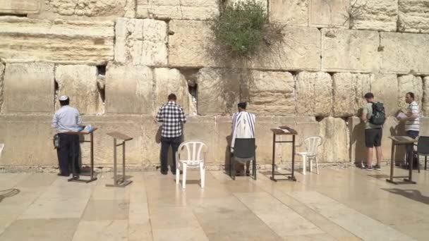 Єврейські Люди Моляться Біля Західної Стіни — стокове відео