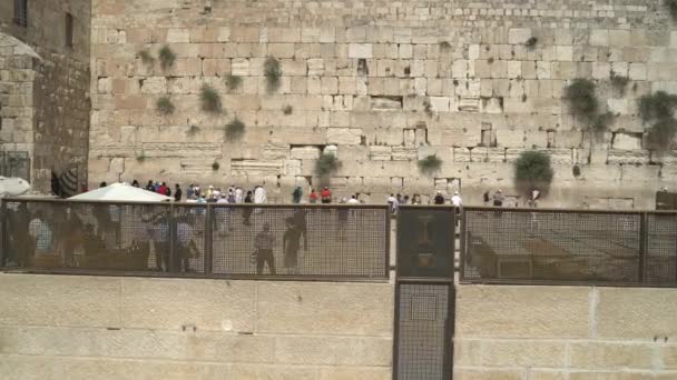 Pessoas Muro Das Lamentações Jerusalém — Vídeo de Stock