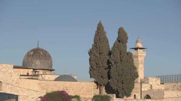 Bäume Und Kuppel Der Aksa Moschee — Stockvideo