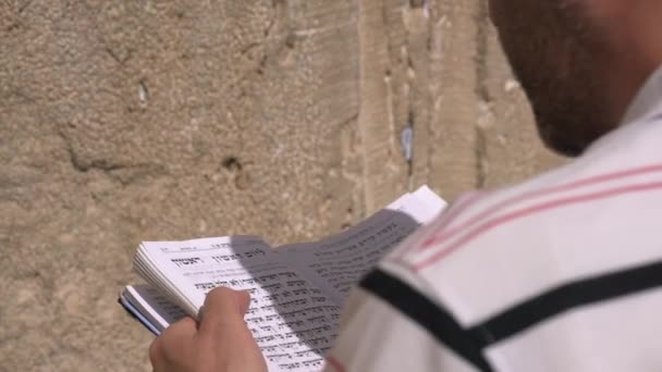 Hombre Leyendo Torá Muro Los Lamentos — Vídeos de Stock