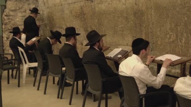 Hommes Juifs Balançant Lisant Torah — Video