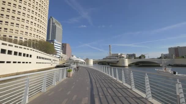 Tampa Riverwalk Byen – stockvideo