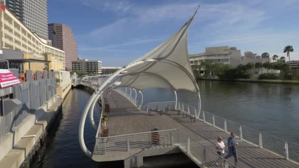 Promenade Tampa Dans Ville — Video