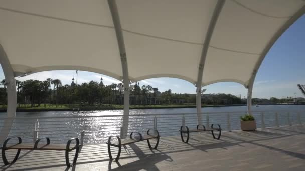 Waterfront Hillsborough Seen Tampa Riverwalk — Αρχείο Βίντεο