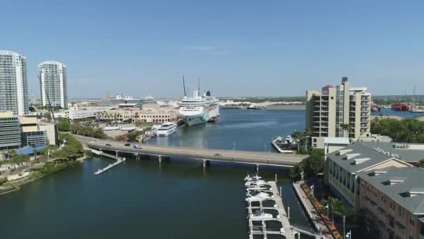 Veduta Aerea Della Baia Tampa — Video Stock