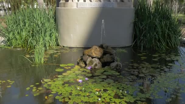 Tilt Henry Bradley Plant Statue — Stock Video