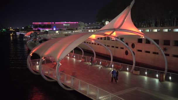 Couple Marchant Sur Tampa Riverwalk Nuit — Video