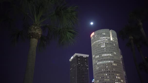 Bajo Ángulo Dos Torres Por Noche — Vídeo de stock