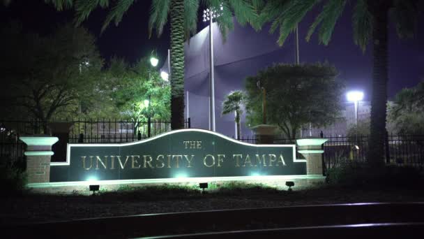 Znak Uniwersytetu Tampa Nocy — Wideo stockowe