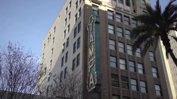 Tampa Theater Sign Verenigde Staten — Stockvideo