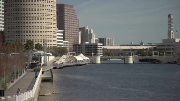 Tampa Riverwalk Hillsborough River — Stockvideo