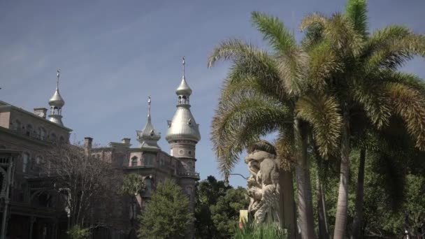 Minarette Der Universität Tampa — Stockvideo